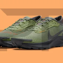 Nike Pegasus Trail 3 GORE-TEX at Pandalytics